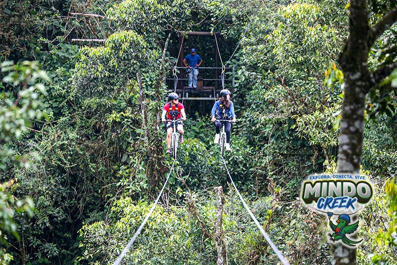 mindo-creek-50